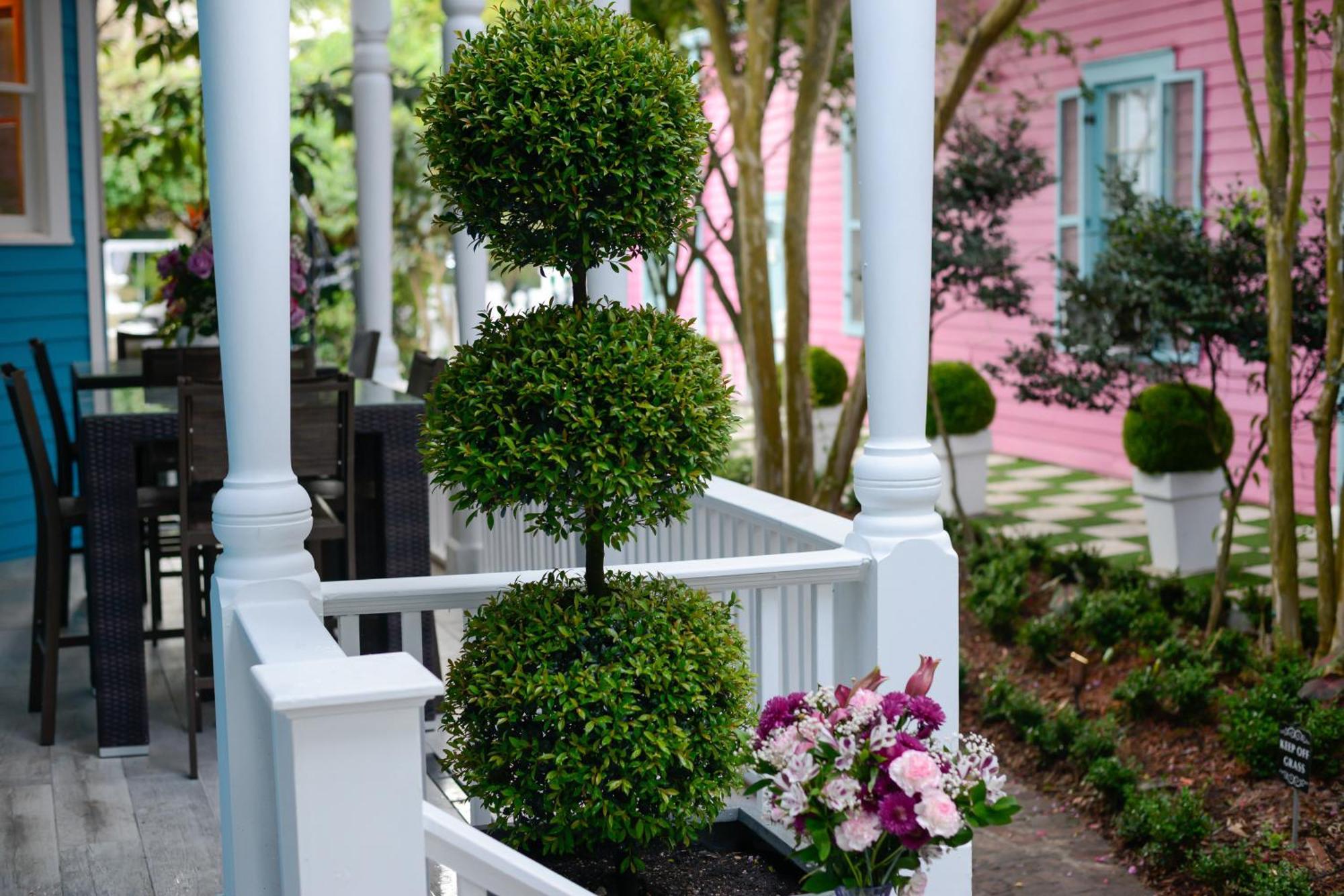 4 Bedroom - Sleeps 8! Celebrity Villa Next To Frenchman St New Orleans Exteriör bild